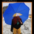 Otev�en� pl�e J�ry Cimrmana - Ml�kosrby Leden 2009